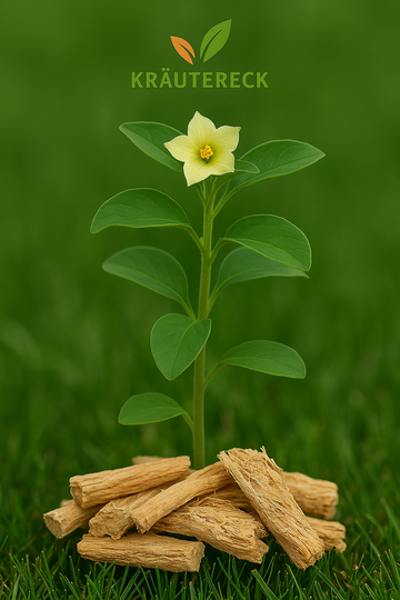 Ashwagandha