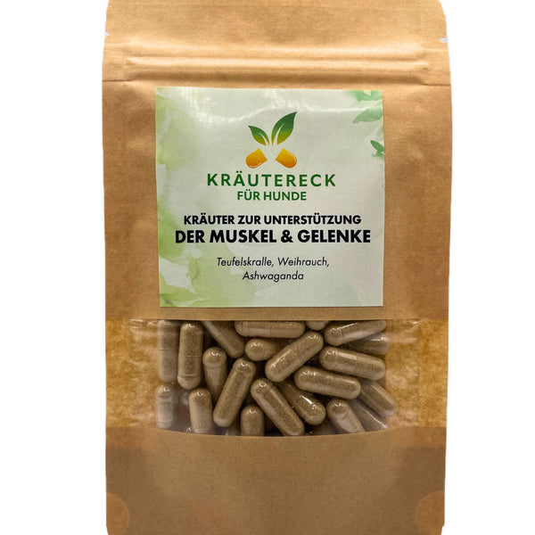 Kräuterkapseln Hund – Muskel & Gelenke | mit Teufelskralle, Ashwagandha & Weihrauch