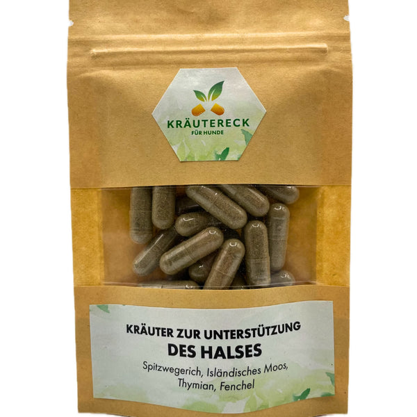 Kräuterkapseln Hund – Akut Unterstützung des Hals & Atemwege