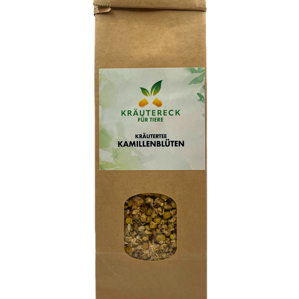 Kamillenblüten für Hunde & Katzen – als Tee, Inhalation & Waschung