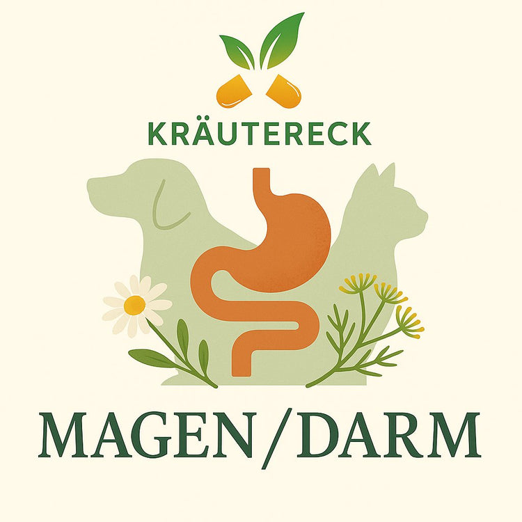 Magen/Darm – Kräuterkapseln für Hunde & Katzen
