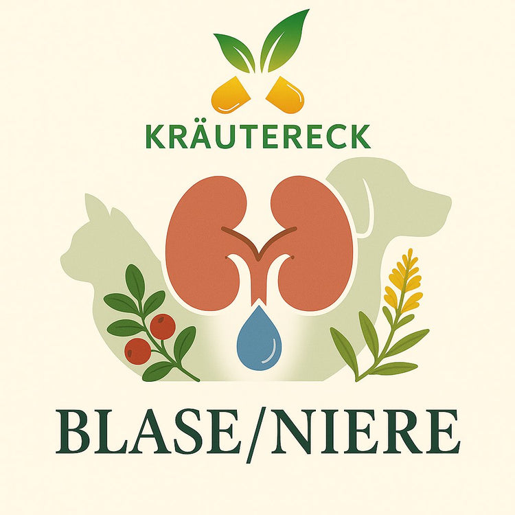 Blase & Niere – Kräuterkapseln für Hunde & Katzen