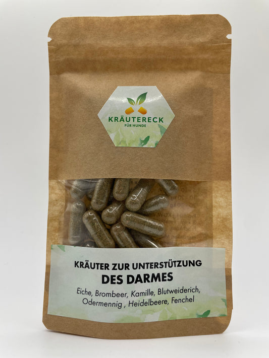 Kräuterkapseln - akut Darm Hund