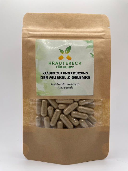 Kräuterkapseln - Muskel und Gelenke Hund