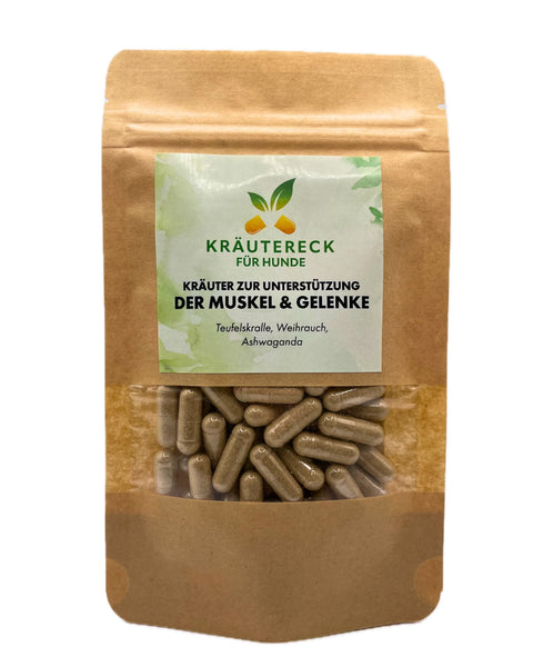 Produktverpackung: Kräuterkapseln für Muskel & Gelenke bei Hunden – mit Teufelskralle, Weihrauch & Ashwagandha (Vorderseite).