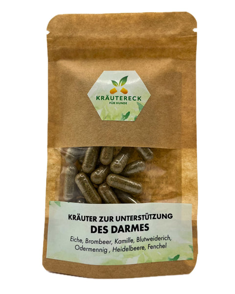 Produktverpackung: Kräuterkapseln für den Darm bei Hunden – mit Eiche, Brombeer, Kamille, Blutweiderich, Odermennig, Heidelbeer & Fenchel (Vorderseite).