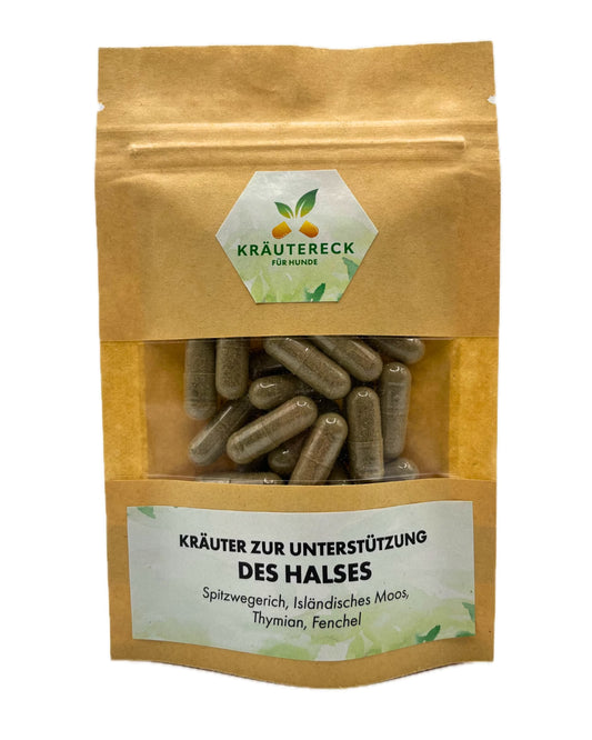 Kräuterkapseln - akut Hals Hund