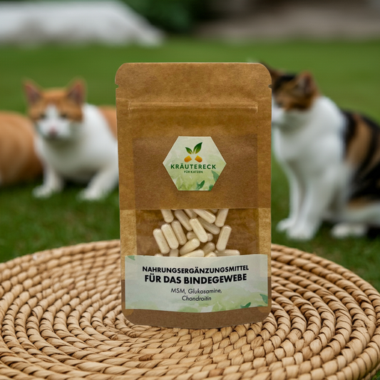 Kräuterkapseln Katze – Bindegewebe & Gelenke | mit MSM, Glucosamin & Chondroitin