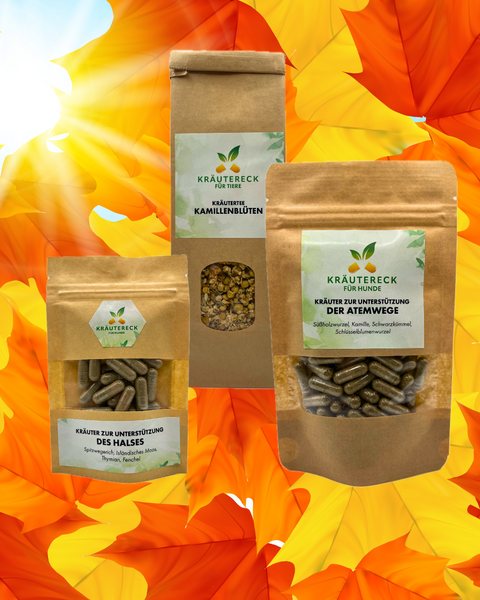 Herbst-Bundle Hund – Starke Atemwege & sanfte Begleiter (3er-Set)