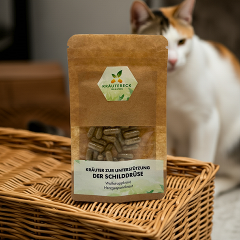 2. Produktbild: Kräuterkapseln Schilddrüse für Katzen - mit Katze im Hintergrund
