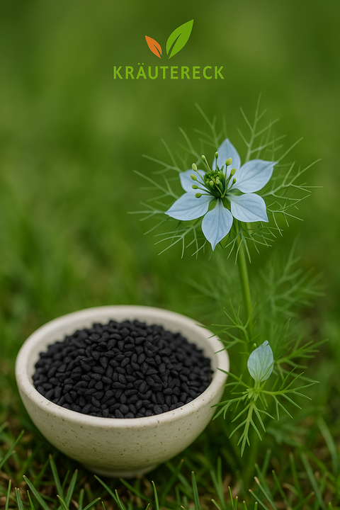 Schwarzkümmel 